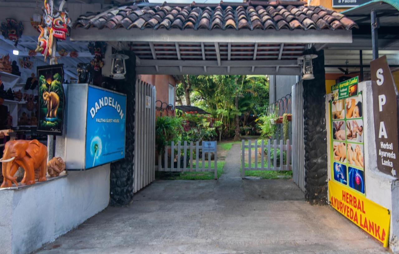 Dandelion - Unawatuna Exterior foto