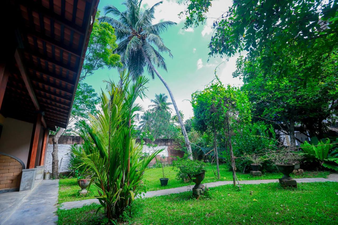 Dandelion - Unawatuna Exterior foto