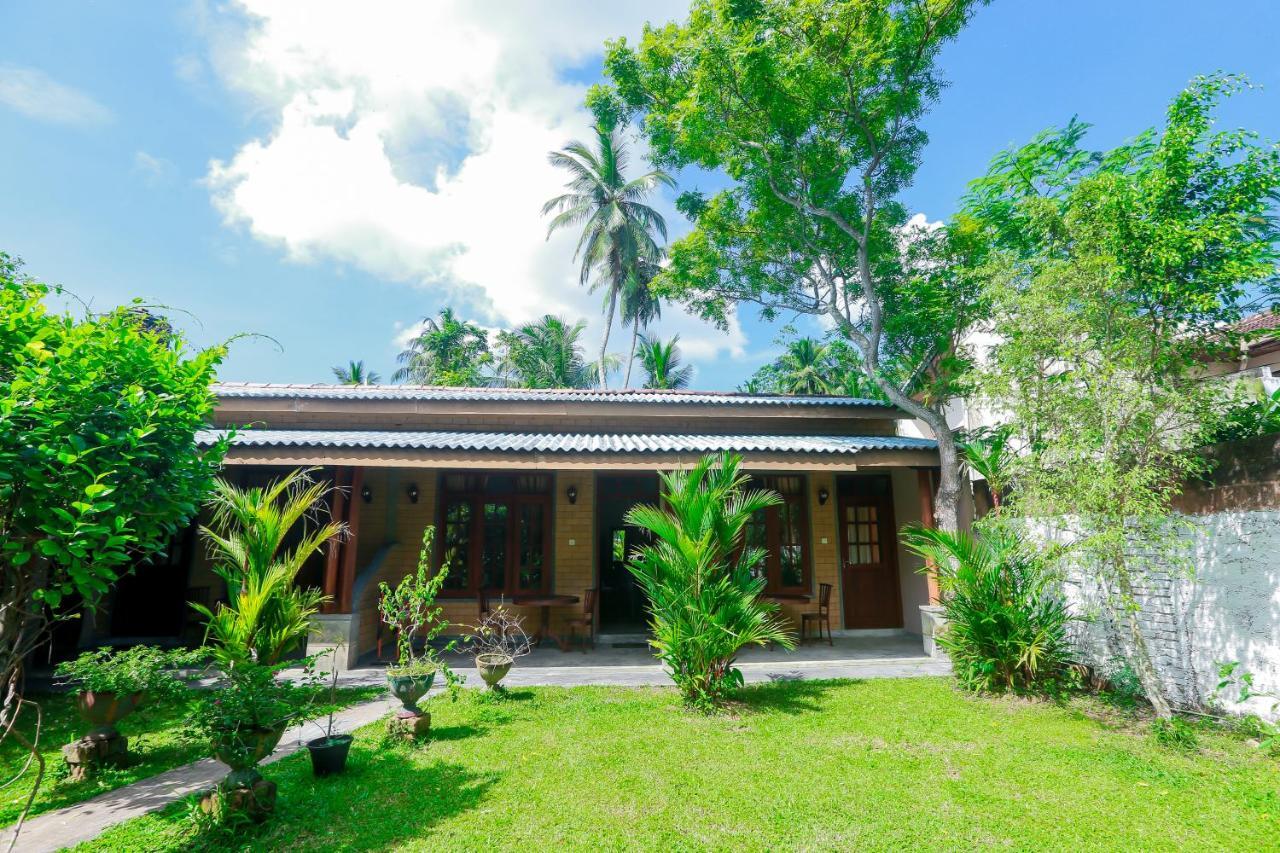 Dandelion - Unawatuna Exterior foto