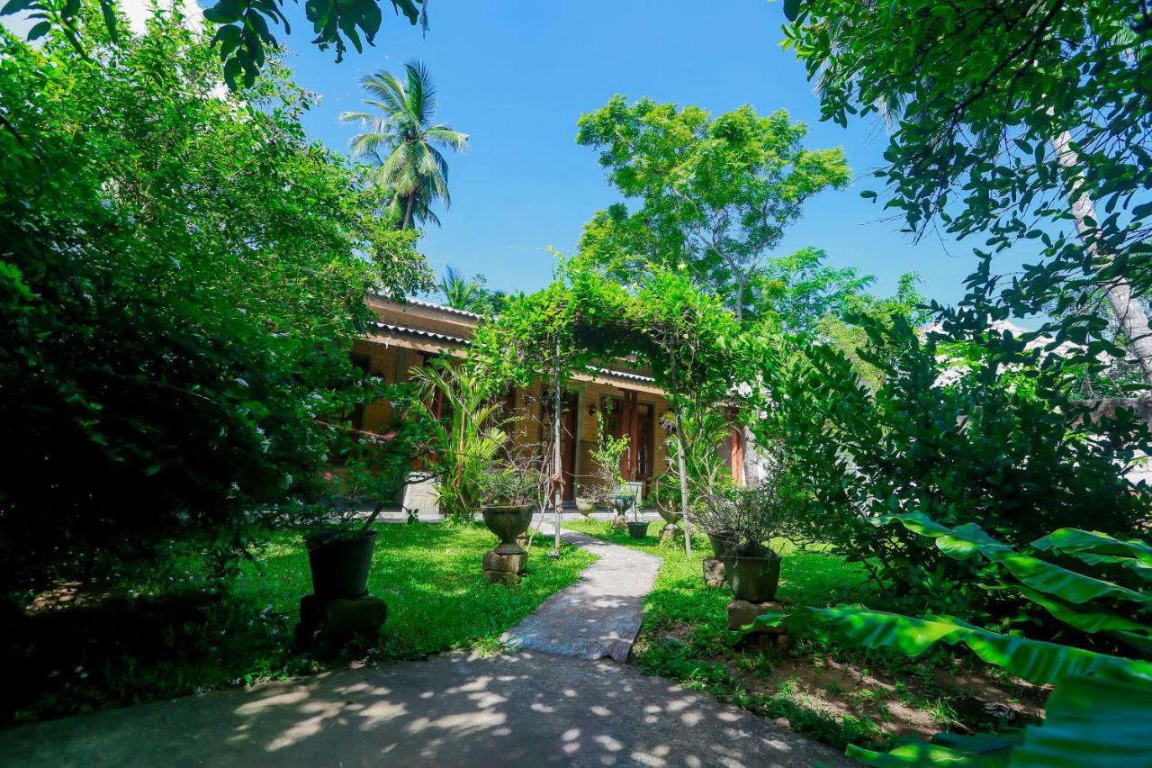 Dandelion - Unawatuna Exterior foto