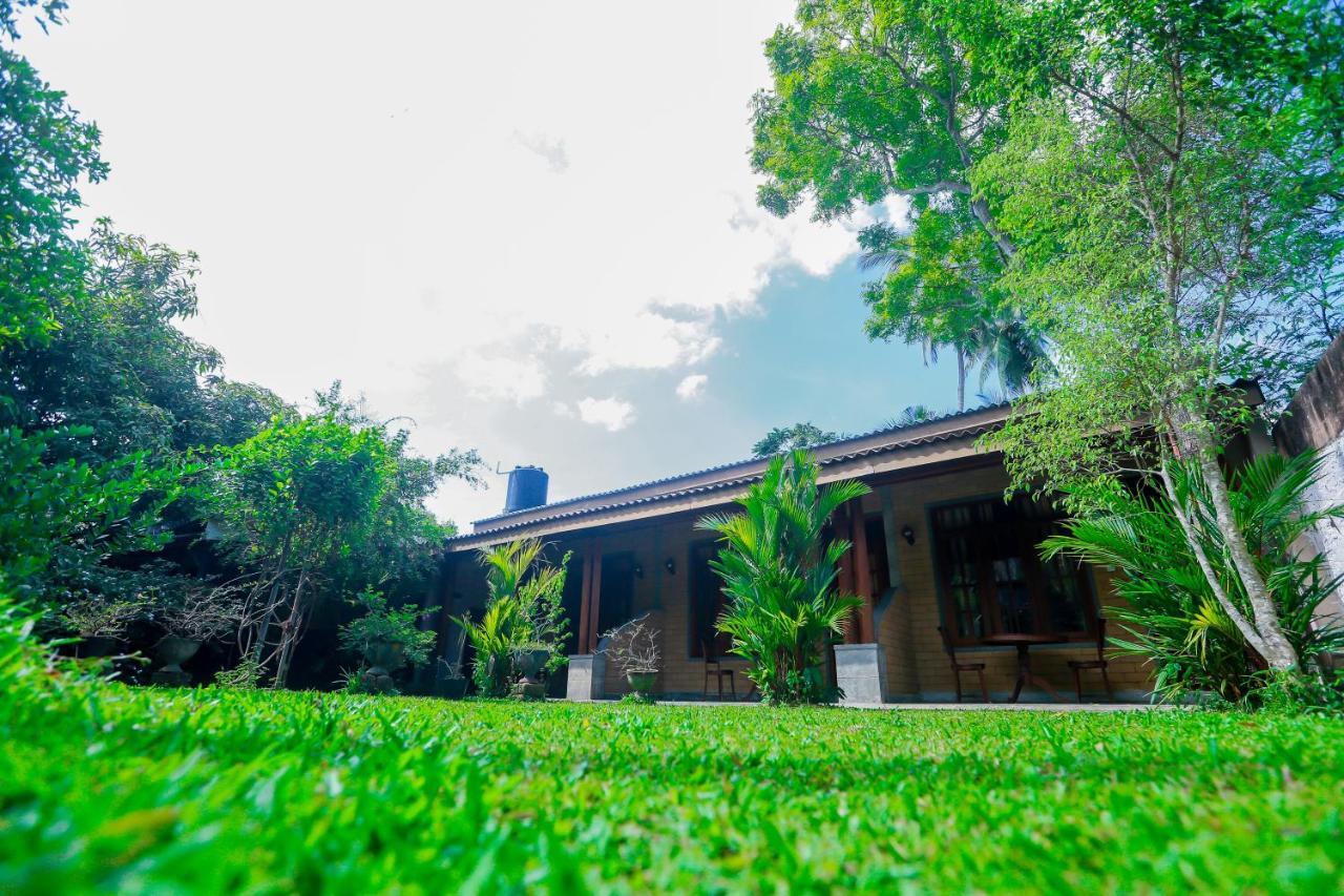 Dandelion - Unawatuna Exterior foto