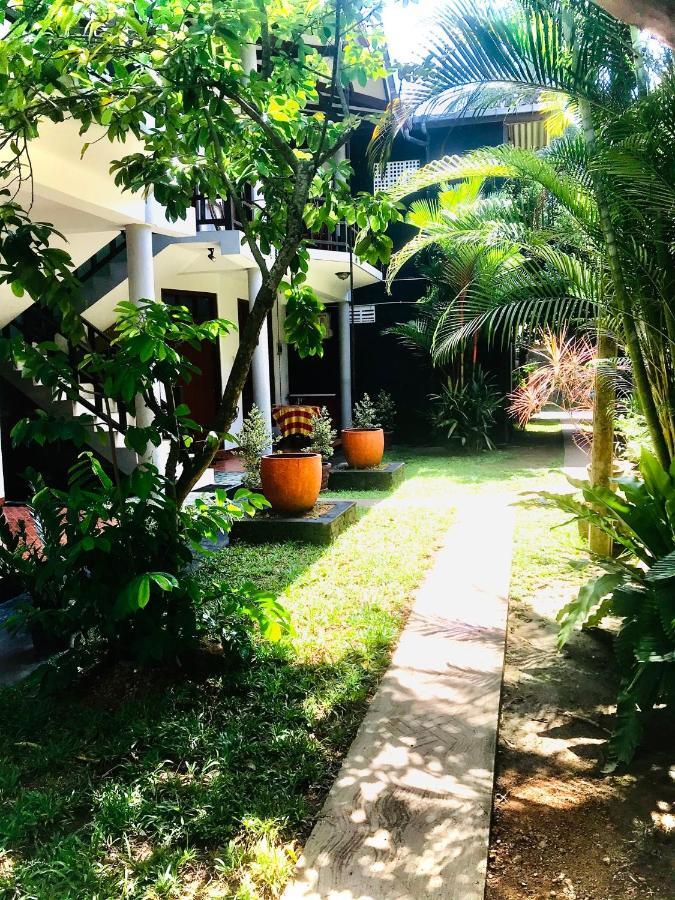 Dandelion - Unawatuna Exterior foto