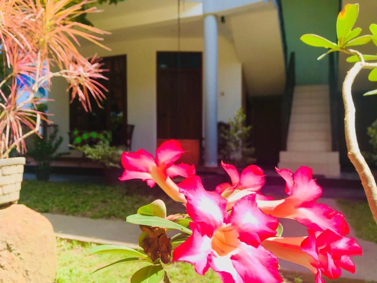 Dandelion - Unawatuna Exterior foto